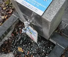 먹어도 된다는데 먹으면 안될거 같음