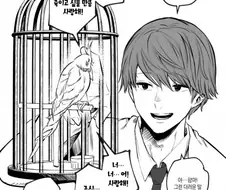 얀데레녀들과 앵무새가 싸우는 만화.manga