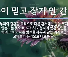 속담의 의미가 심각하게 왜곡된 이유