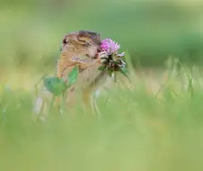 만화 태그계의 3대 배신.jpg