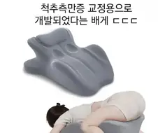 척추측만증 교정용 베개