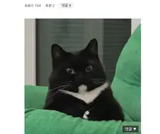 레버리지에 절여진 뇌