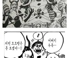원피스) ???: 아무리 그래도 니코로빈이 현역때 그정도는 아니였어