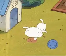 크리스마스를 즐기는 흰둥이