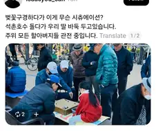 석촌호수에서 할아버지랑 바둑 둔 아이