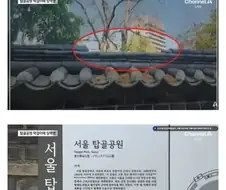 턱걸이 하다가 전과자 된 남자.jpg