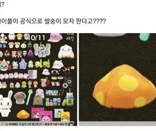 메이플 공식 쌀숭이 모자