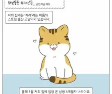 길냥이 입양한.manwha
