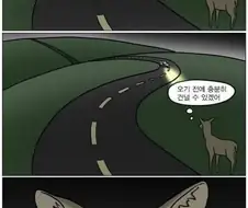 쉽게 이해하는 고라니의 심리