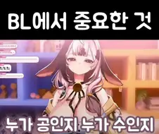 여성 방송인 "BL에서 공수는 중요해"
