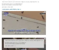 러브버그 관련 하면 생각나는 빌런