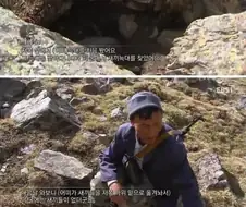 몽골 유목민과 늑대새끼들