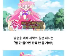 프리큐어 자동 자막 번역 대참사.jpg