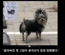 잃어버린 개 그림이 엄청 정확했다.