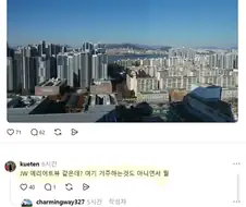 한국식 신포도질