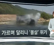 오프로드 동호회에 밟혀 죽는 멸종 위기종