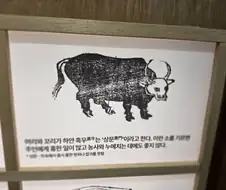 옛날부터 안좋은 취급을 받은 존재