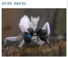 부부는 서로에게 영원한 사랑을 맹세하라