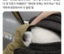 지하철 빌런이 된 사람.jpg