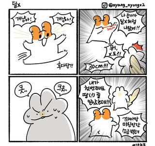 남편의 외도 사실에 화난 아내 만화 manhwa