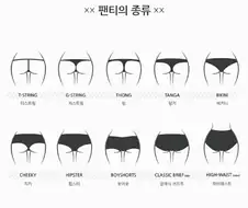 [후방] 다양한 팬티들