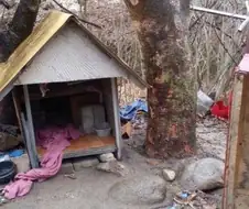 개조심- 성질 나쁜개 입니다.