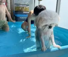 강한척하더니 벌써 가버리는거냐고