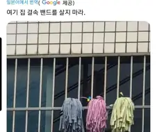 봇치)존나 적절하네 ㅋㅋㅋ