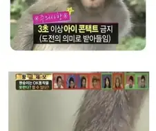 원숭이와 눈을 3초 이상 마주치면 안되는 이유