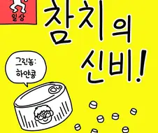 참치의 신비의 기원