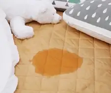 잘 때 팬티 벗고 자지 못하는 이유
