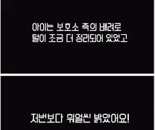 유기견 입양 전 후