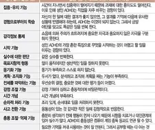 전두엽의 실행기능 부족으로 인해 나타나는 ADHD 증상