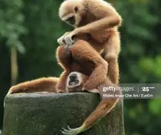 해외정떡간다ㅏㅏㅏㅏㅏㅏ엣?