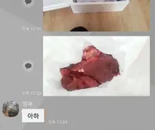 택배속 고기의 정체