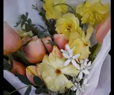 챔스 같이 보자는 누나