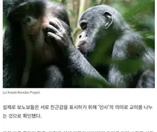 현실이 야 만화인 동물