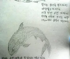 멸치의 신비.manga