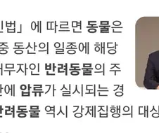 의외로 재산압류가 실시되면 빼앗기는 것.jpg