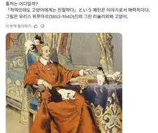 고양이를 좋아했다는 리슐리외 추기경.jpg