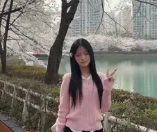 벚꽃 구경 간 최가온 선수