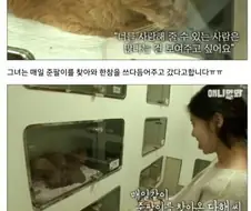 감동감동 동물 확대범