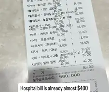 귀여운 고양이를 키운다는건