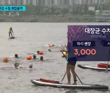 파리가 진짜 덥기는 덥나보내