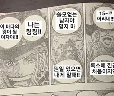 원피스) 카이도 첫사랑이 빅맘이 맞다면 삐뚤어진 이유