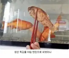 생선반찬이 의심스러운 딸