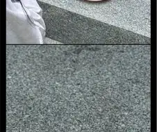 MZ집안